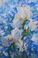 Social Day 26 Jul - Silk Painting demonstration